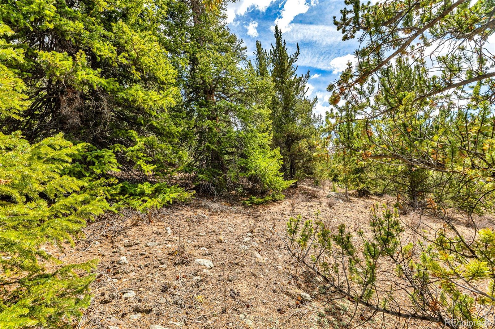 55780 Highway 9 Fairplay CO 80440