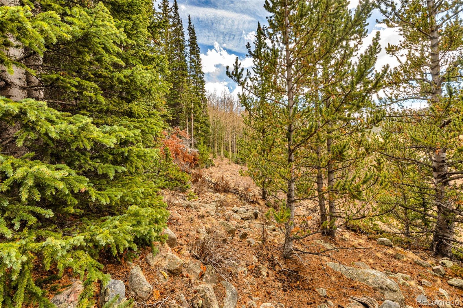 55780 Highway 9 Fairplay CO 80440