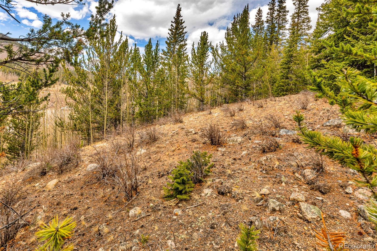 55780 Highway 9 Fairplay CO 80440