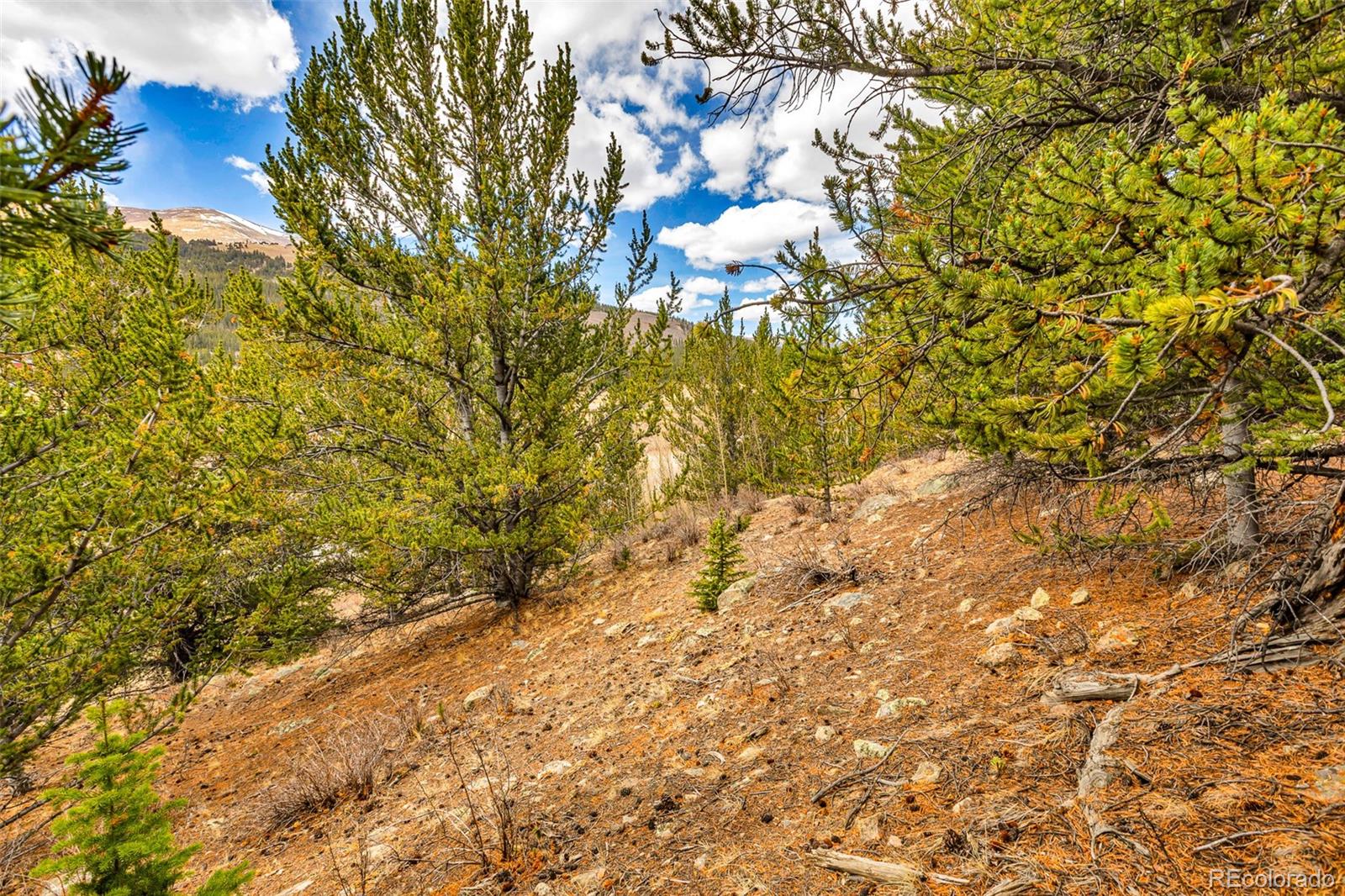 55780 Highway 9 Fairplay CO 80440