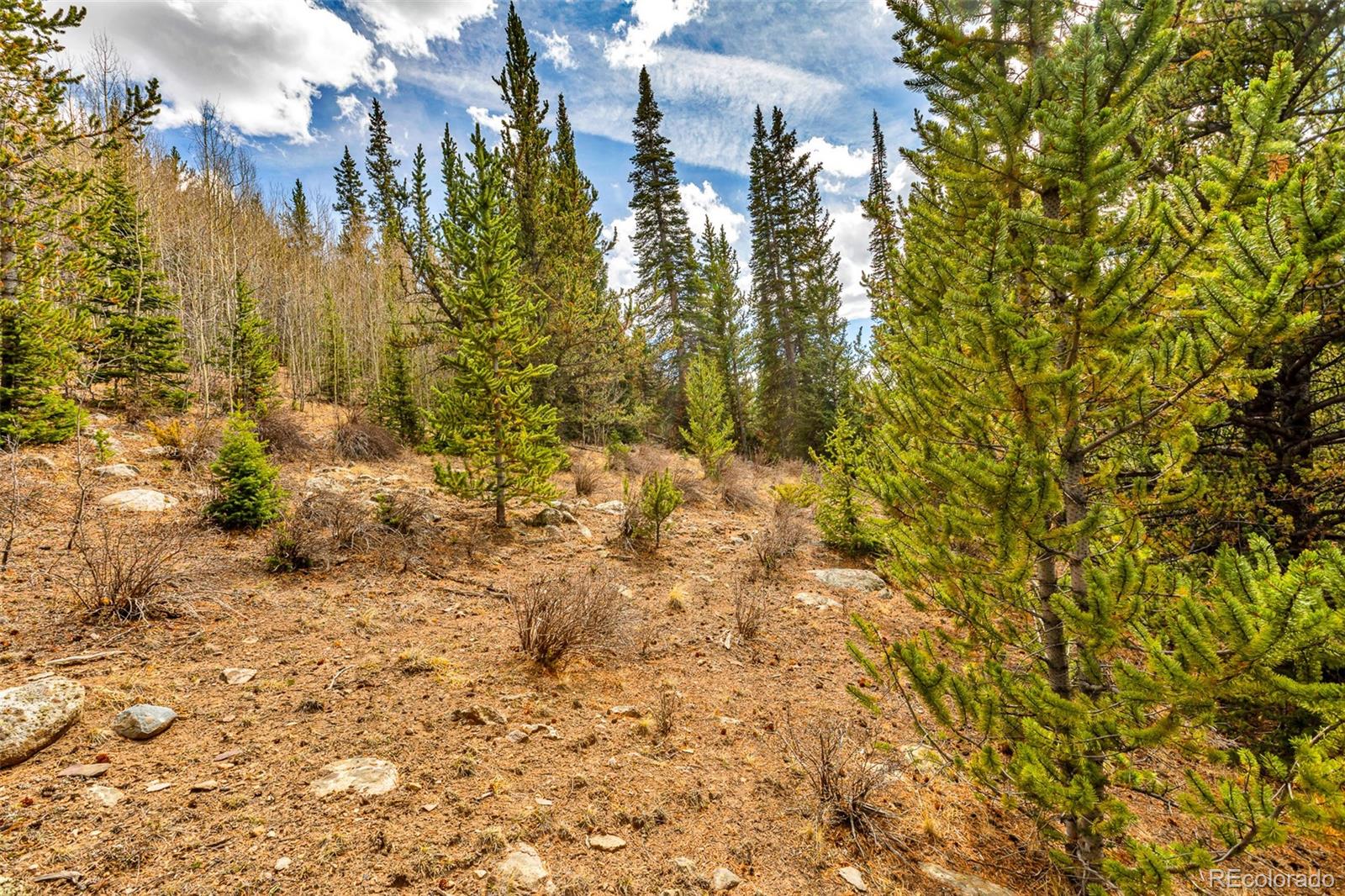 55780 Highway 9 Fairplay CO 80440