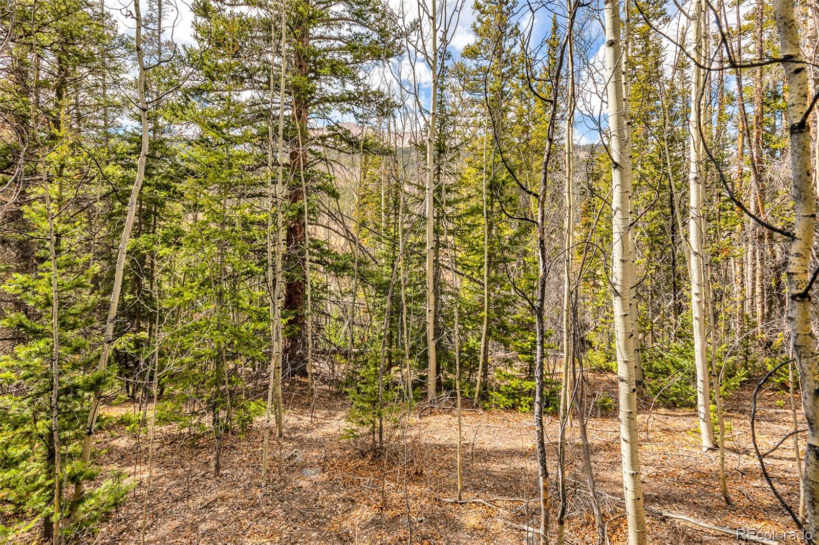 55780 Highway 9 Fairplay CO 80440