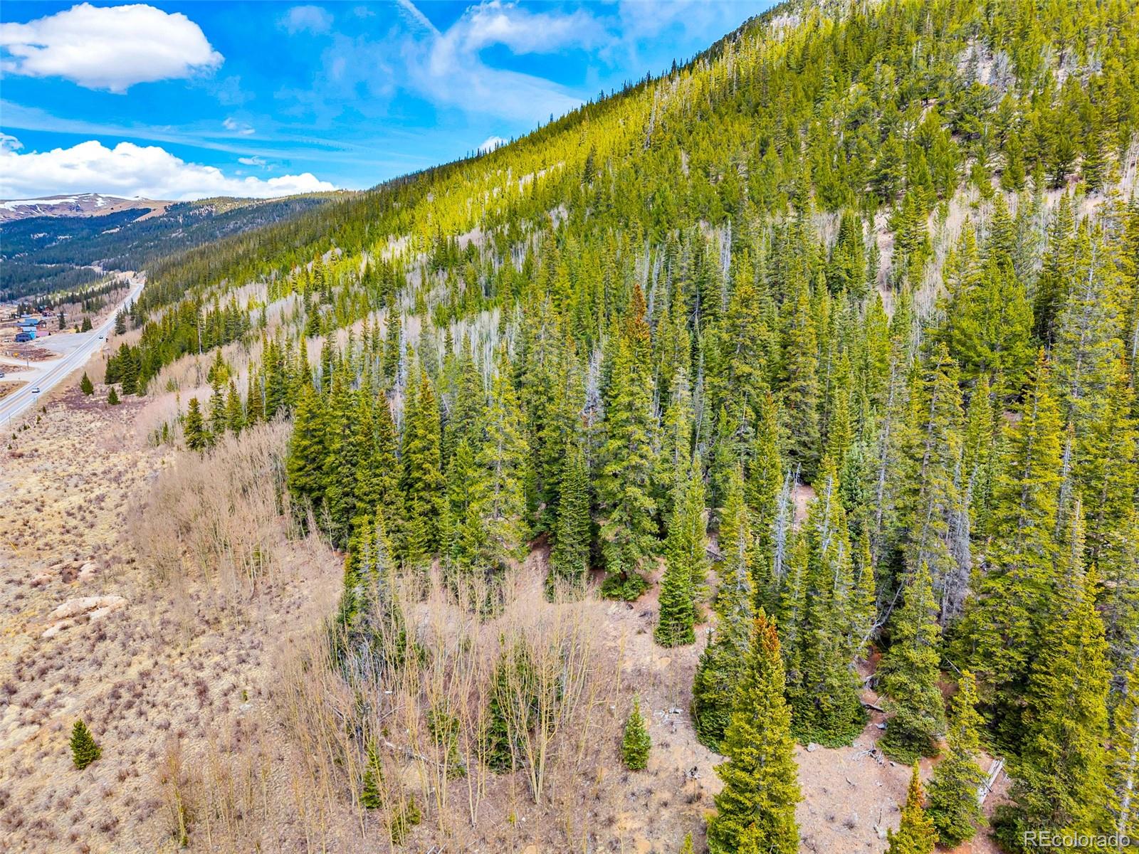 55780 Highway 9 Fairplay CO 80440