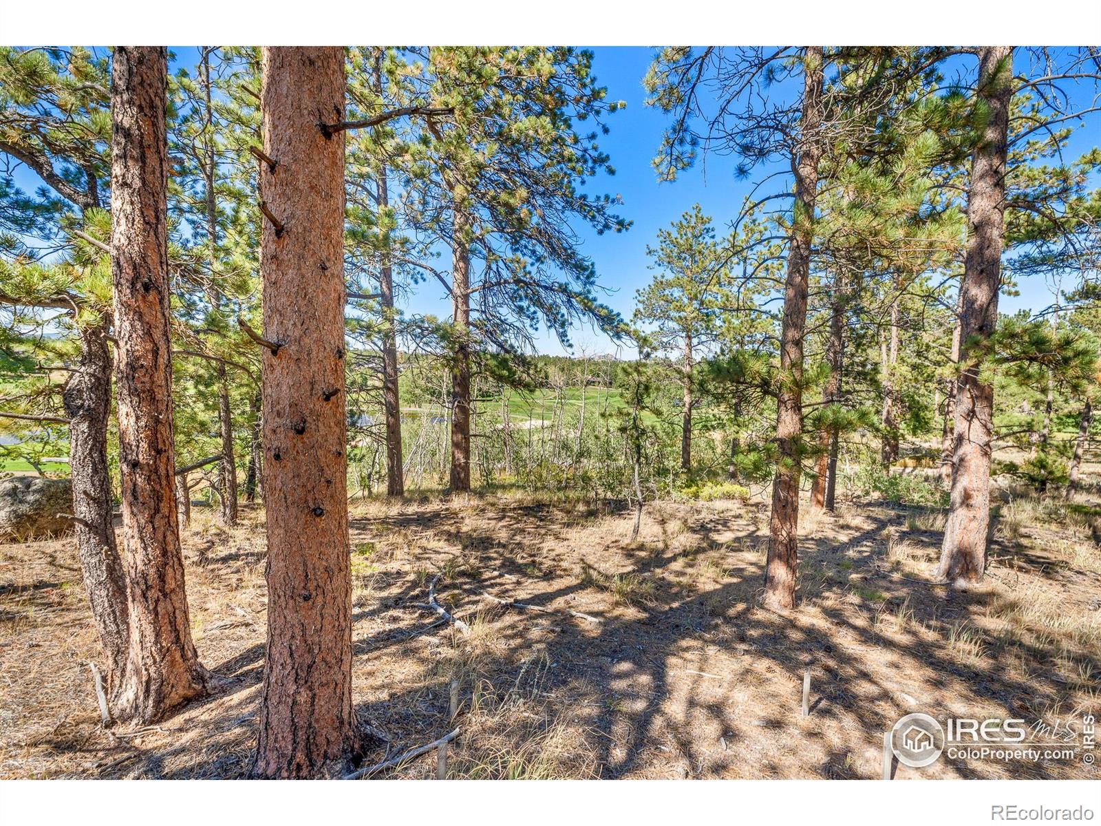 70 Northwoods Drive Red Feather Lakes CO 80545