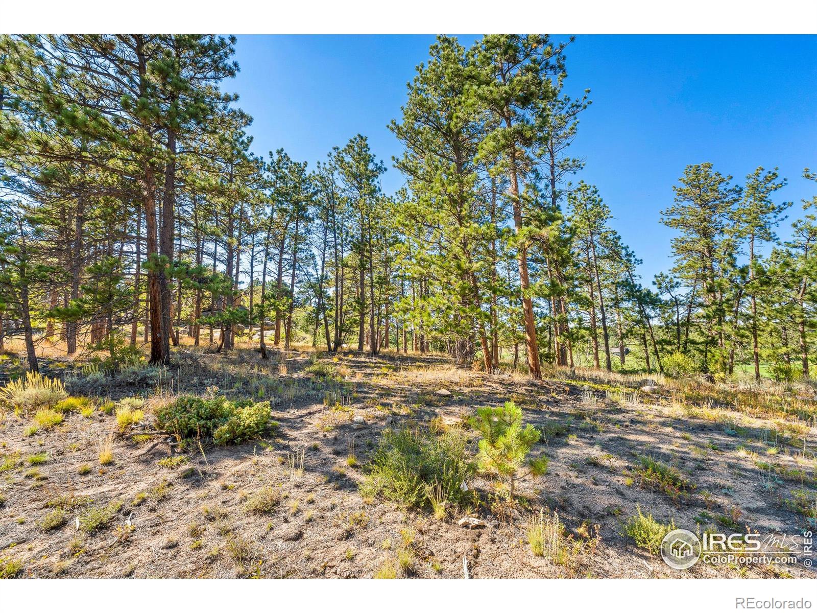 70 Northwoods Drive Red Feather Lakes CO 80545