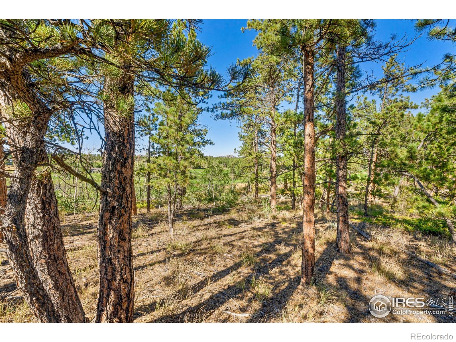 70 Northwoods Drive Red Feather Lakes CO 80545