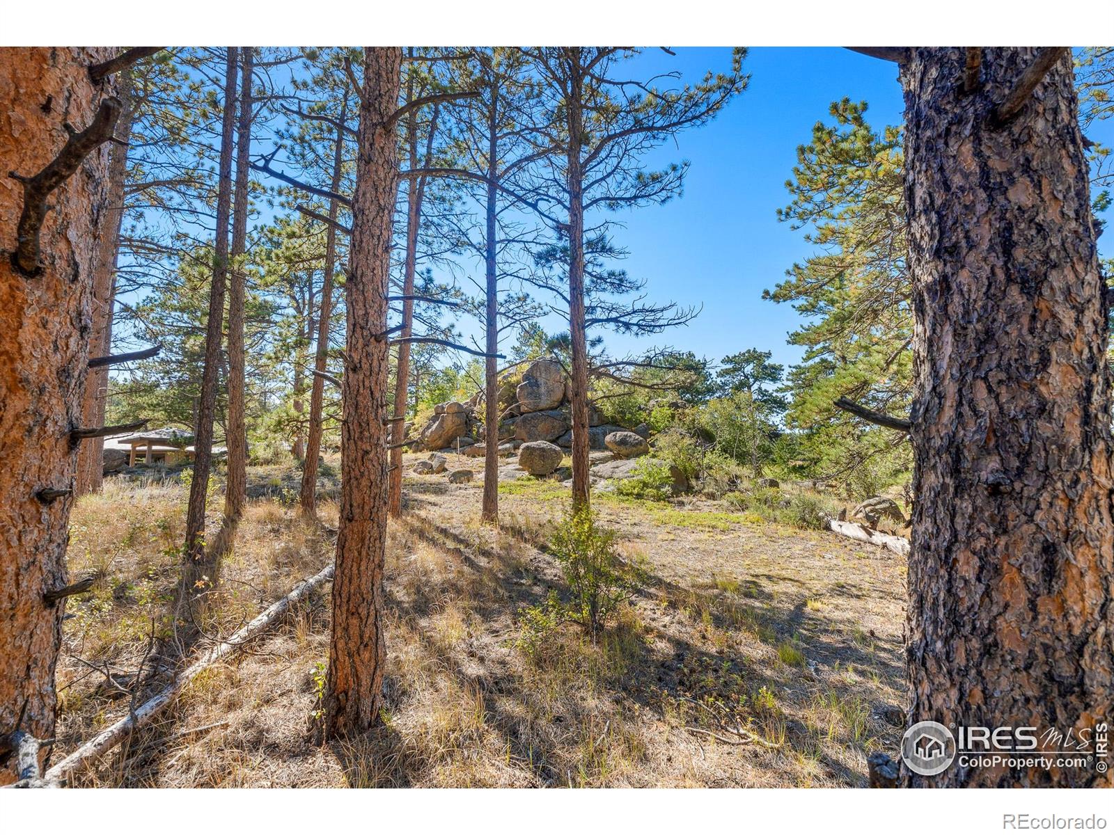 70 Northwoods Drive Red Feather Lakes CO 80545