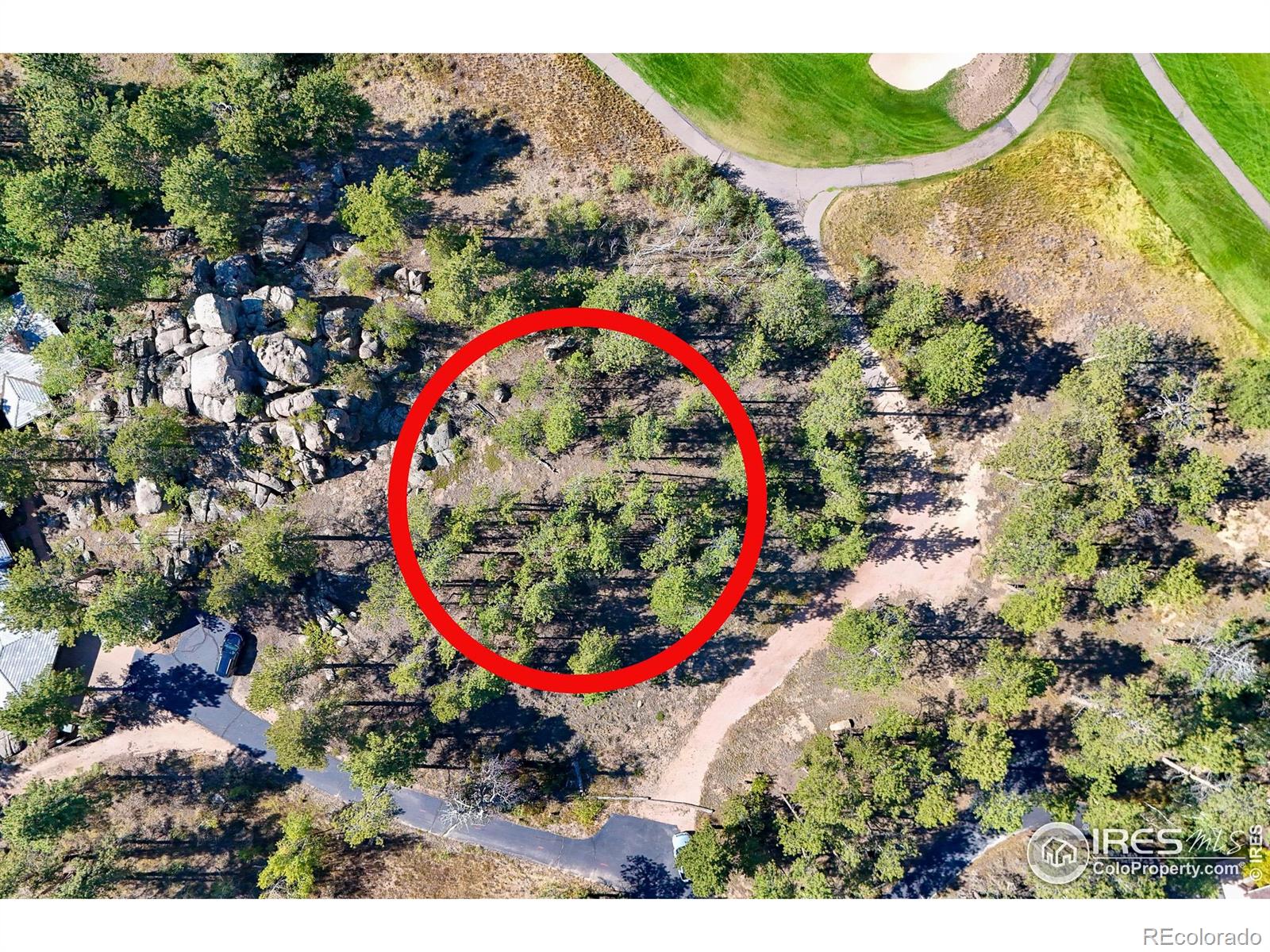 70 Northwoods Drive Red Feather Lakes CO 80545