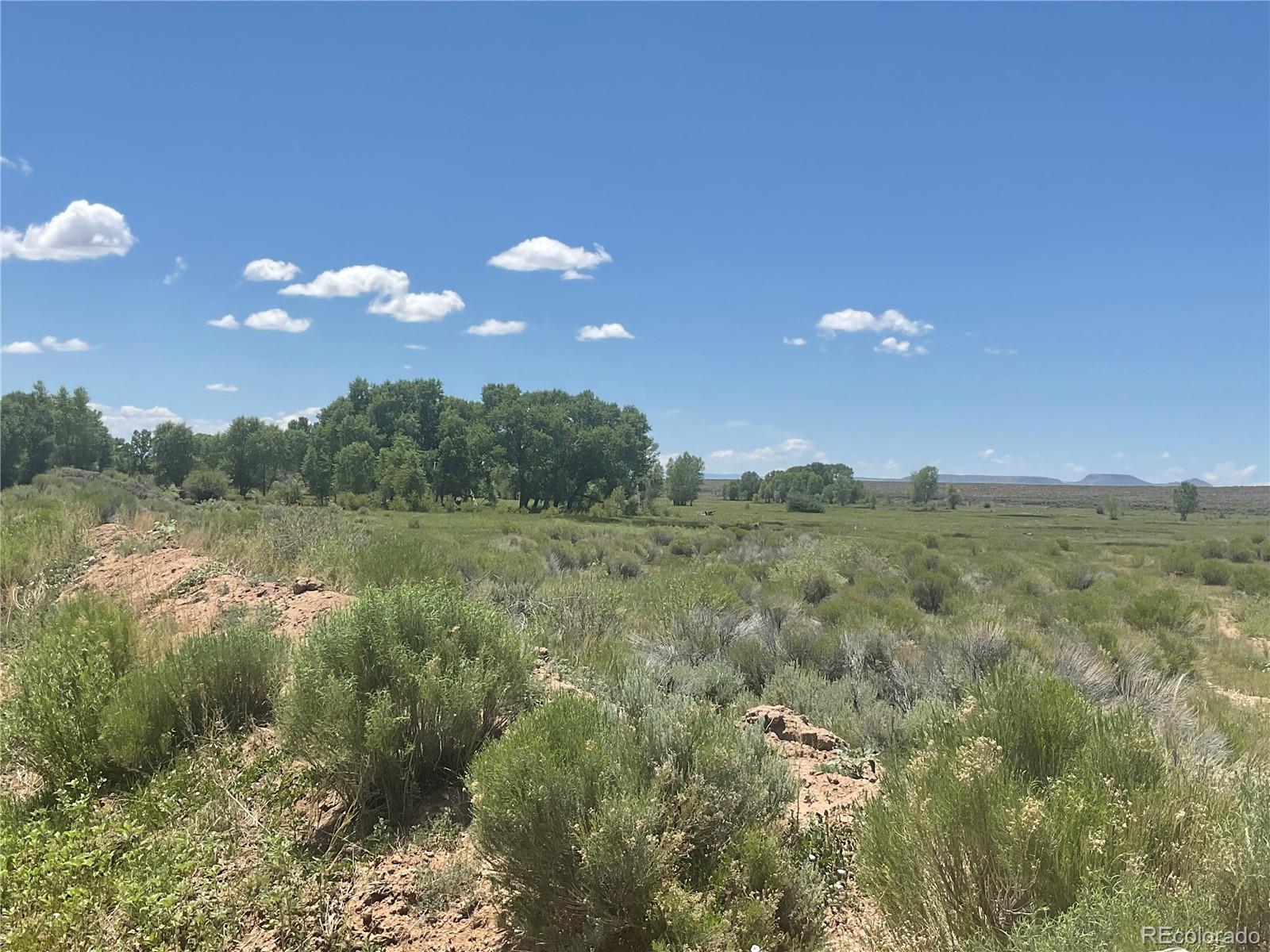 Lot County Road 10 San Luis CO 81152