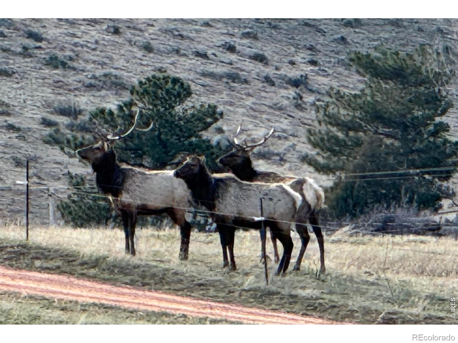 1114 & 1115 Vision Way Lyons CO 80540