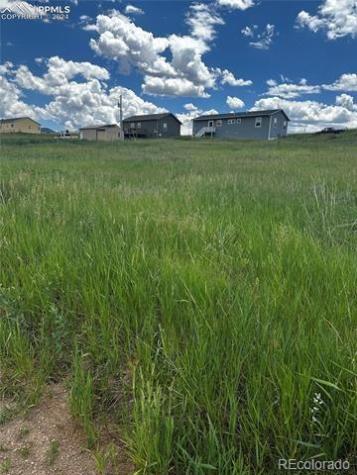 1298 Will Scarlet Drive Divide CO 80814