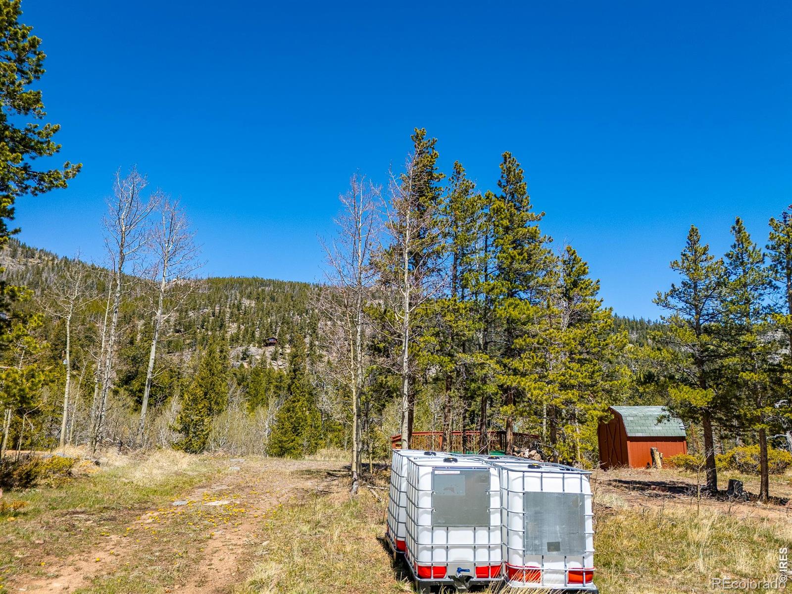 20 Inca Court Red Feather Lakes CO 80545