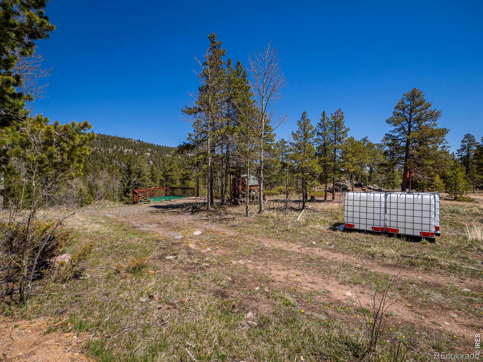 20 Inca Court Red Feather Lakes CO 80545