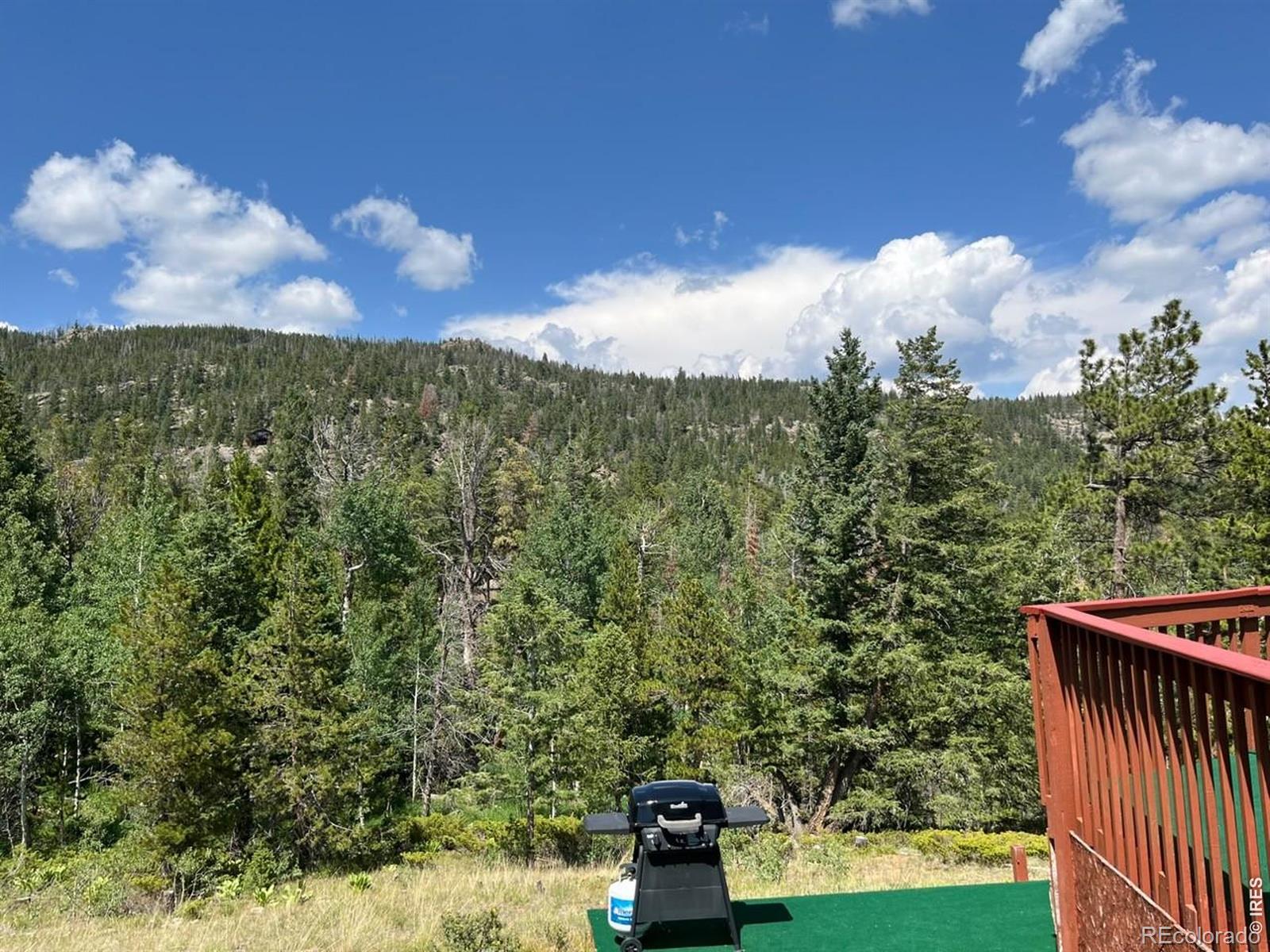 20 Inca Court Red Feather Lakes CO 80545