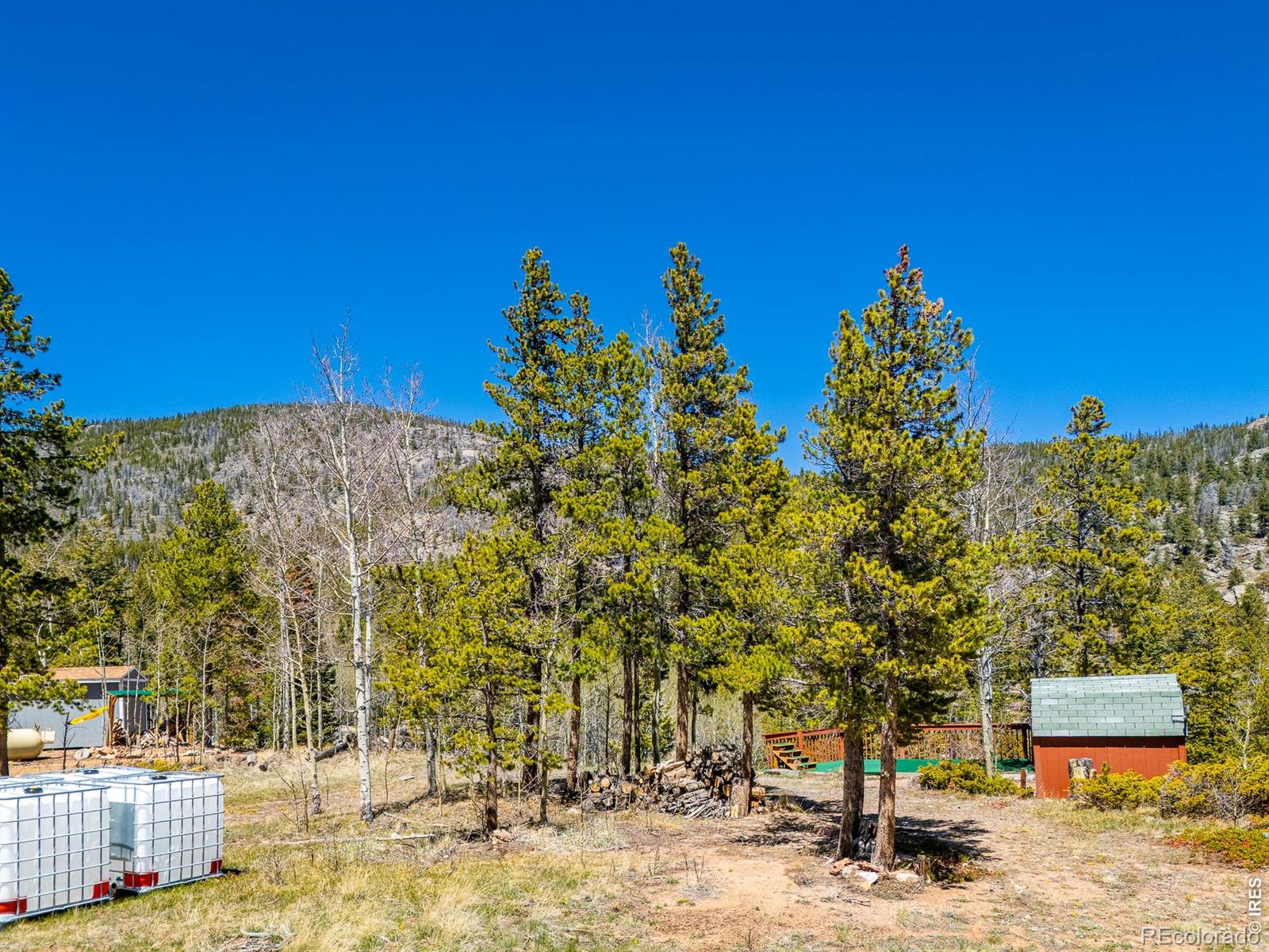 20 Inca Court Red Feather Lakes CO 80545