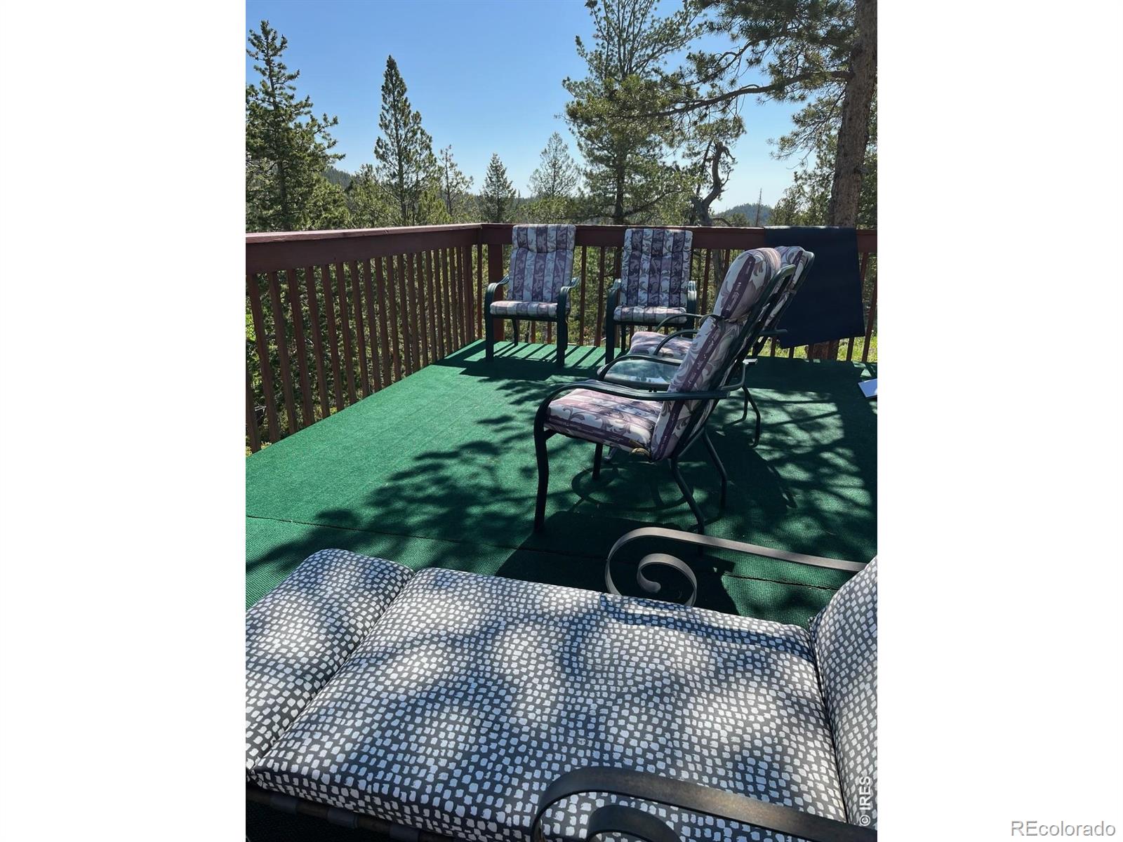 20 Inca Court Red Feather Lakes CO 80545