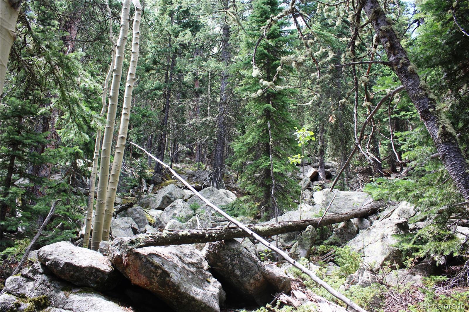00 Hidden Wilderness Road Idaho Springs CO 80452