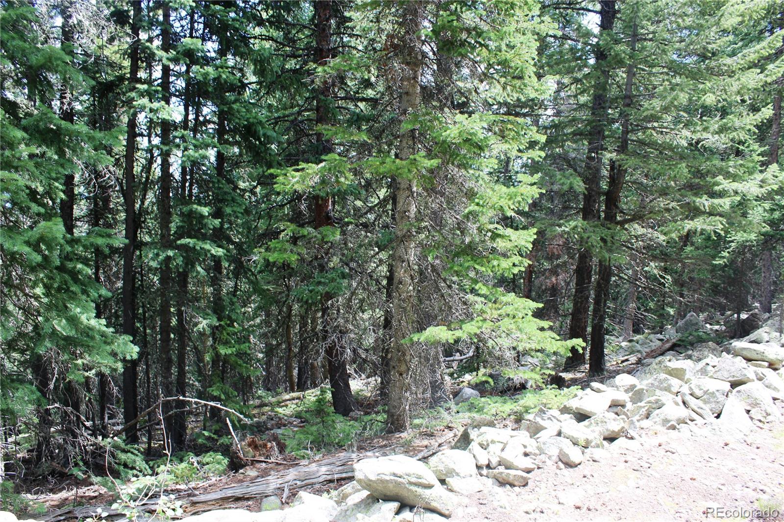 00 Hidden Wilderness Road Idaho Springs CO 80452