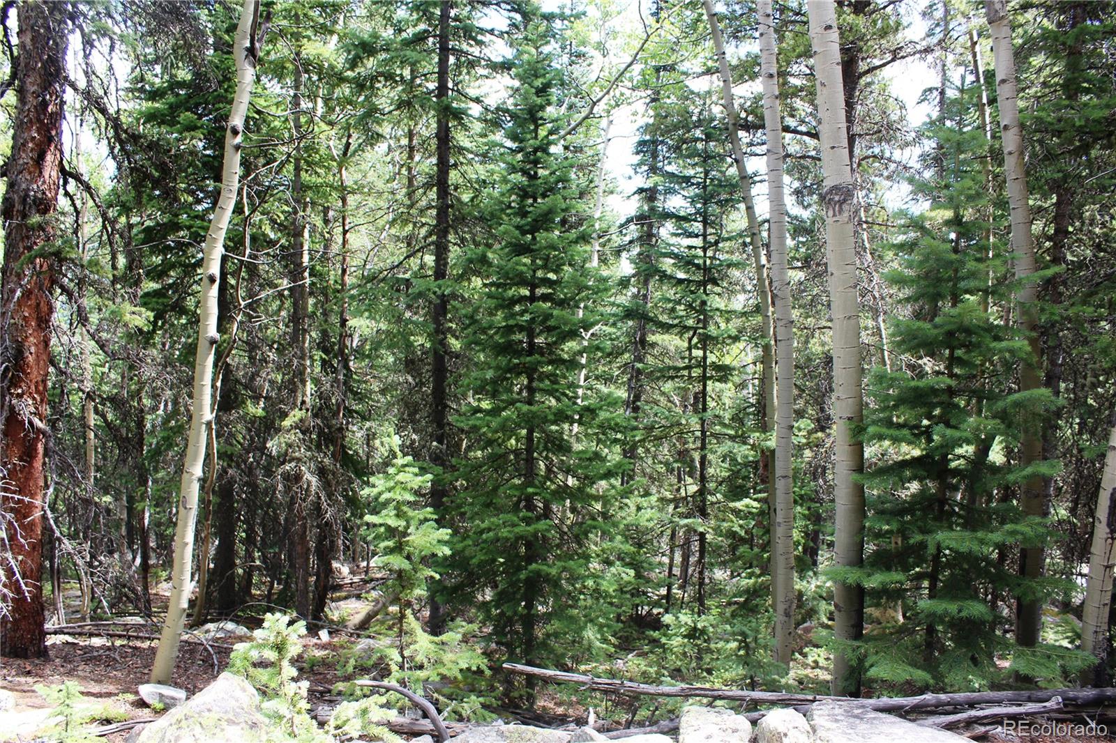00 Hidden Wilderness Road Idaho Springs CO 80452