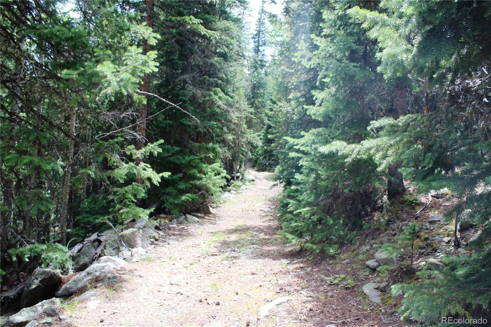 00 Hidden Wilderness Road Idaho Springs CO 80452