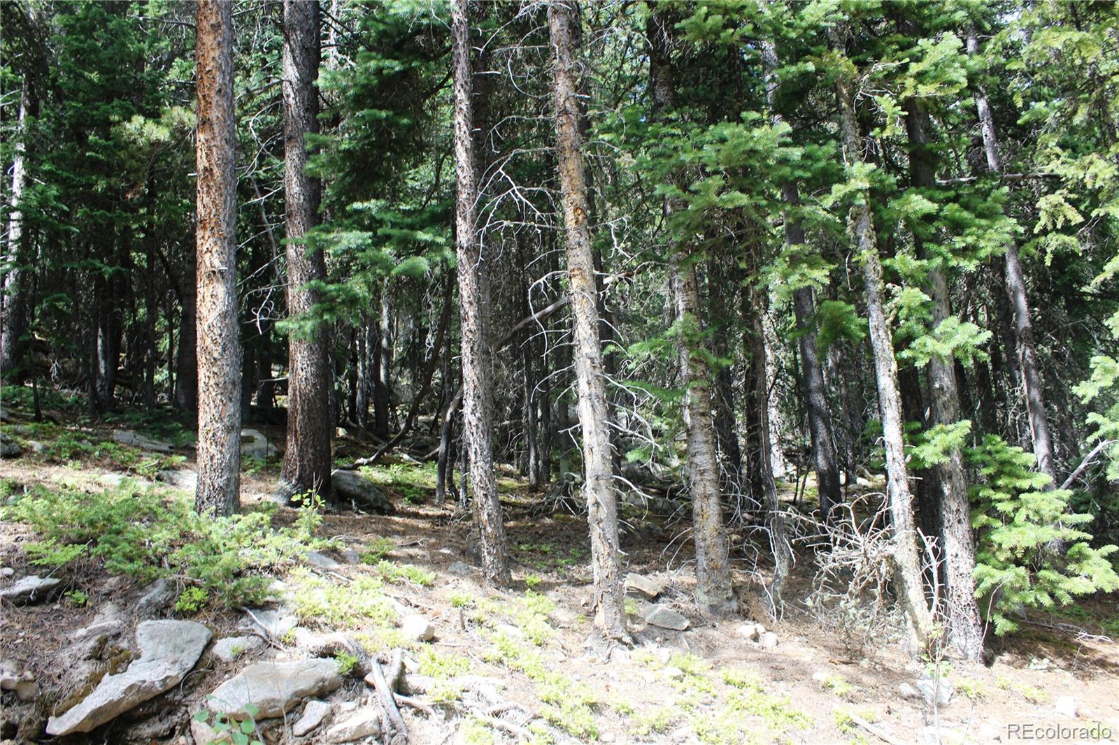 00 Hidden Wilderness Road Idaho Springs CO 80452
