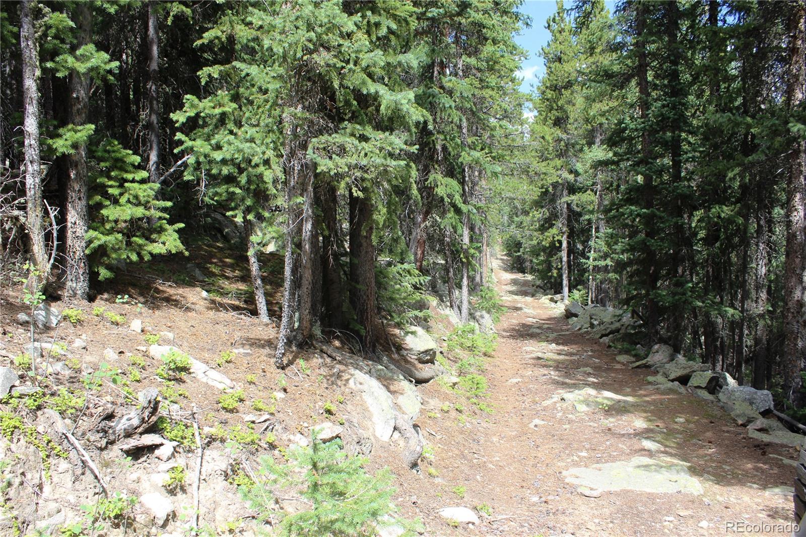 00 Hidden Wilderness Road Idaho Springs CO 80452