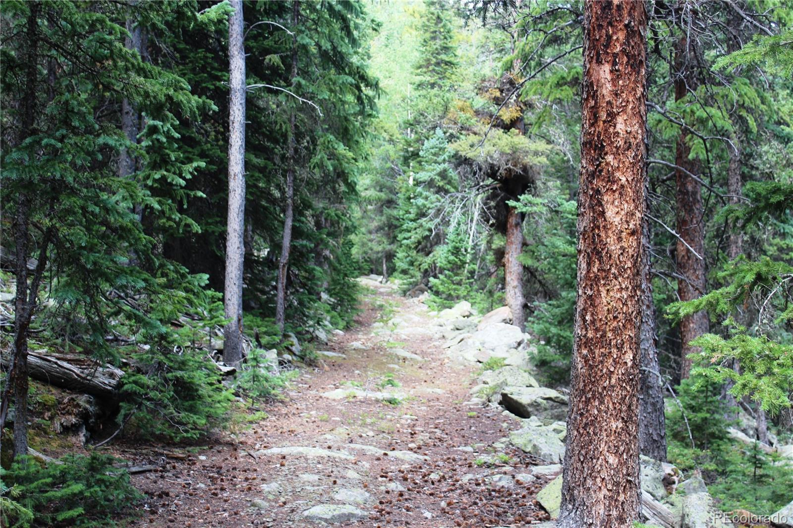 00 Hidden Wilderness Road Idaho Springs CO 80452