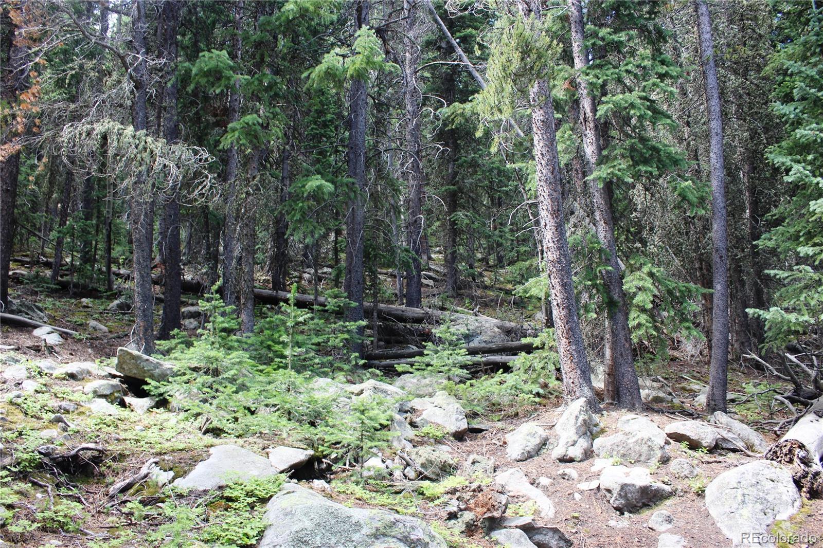 00 Hidden Wilderness Road Idaho Springs CO 80452