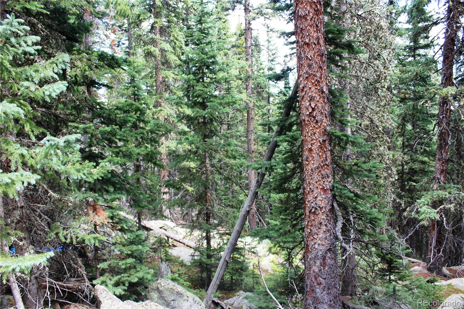 00 Hidden Wilderness Road Idaho Springs CO 80452