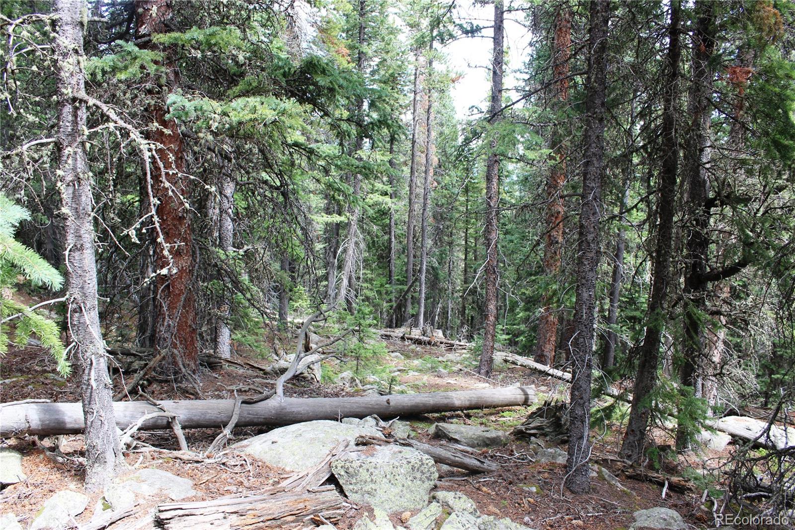 00 Hidden Wilderness Road Idaho Springs CO 80452