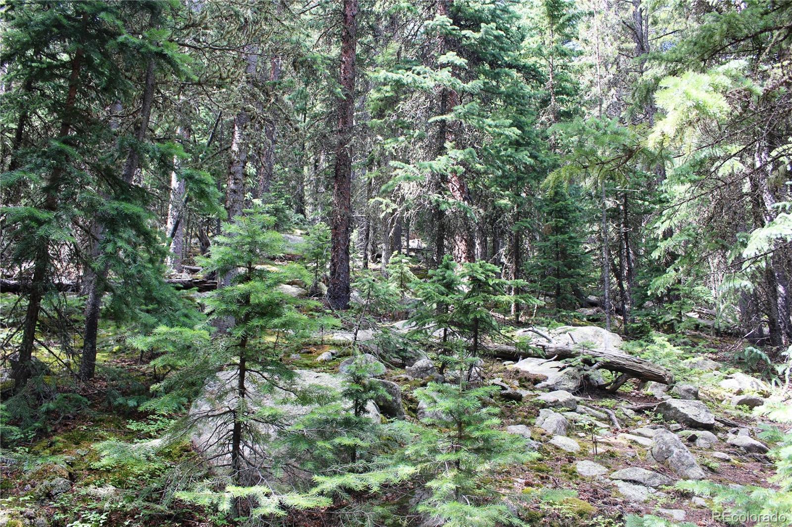 00 Hidden Wilderness Road Idaho Springs CO 80452