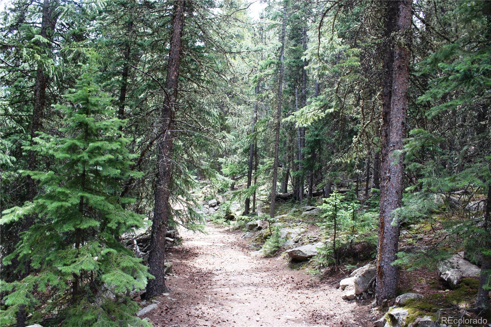 00 Hidden Wilderness Road Idaho Springs CO 80452