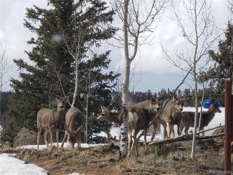 000 Holiday Way Crestone CO 81131