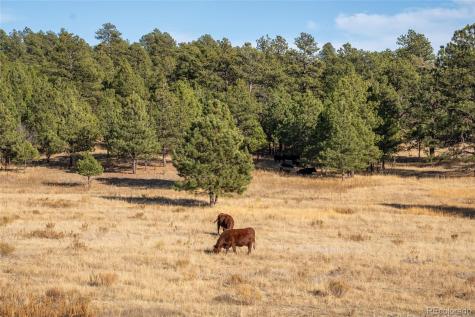 N/a Woodhaven Ridge Road Parker CO 80134
