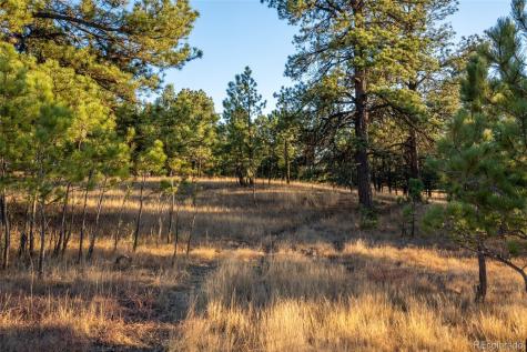 N/a Woodhaven Ridge Road Parker CO 80134