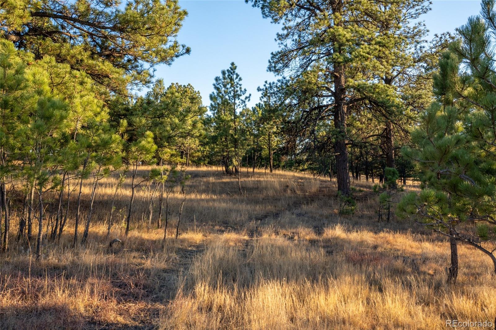 N/a Woodhaven Ridge Road Parker CO 80134