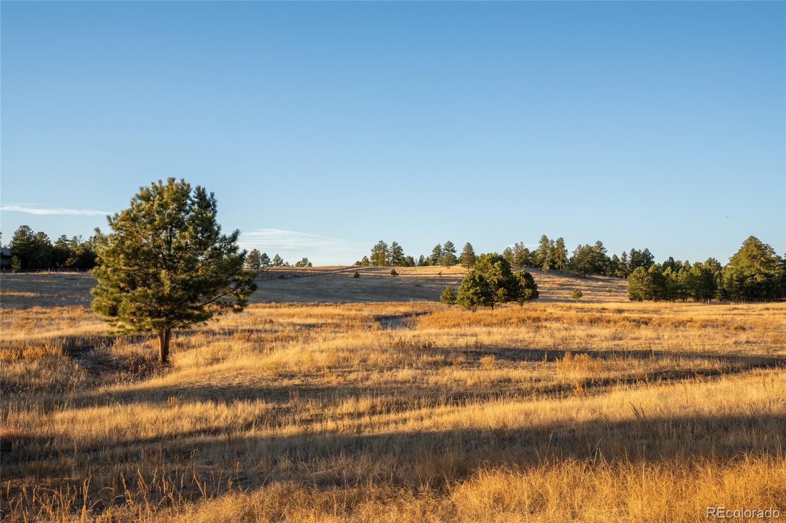 N/a Woodhaven Ridge Road Parker CO 80134
