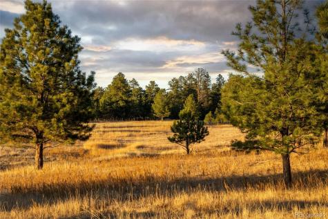 N/a Woodhaven Ridge Road Parker CO 80134