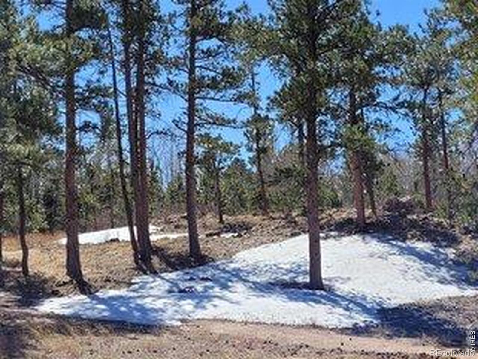 1001 Fox Acres Drive E Red Feather Lakes CO 80545
