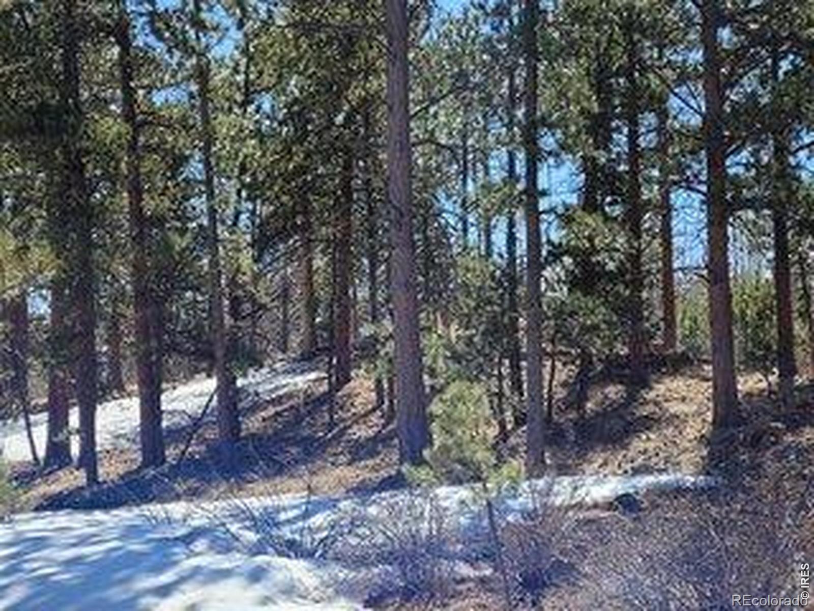 1001 Fox Acres Drive E Red Feather Lakes CO 80545