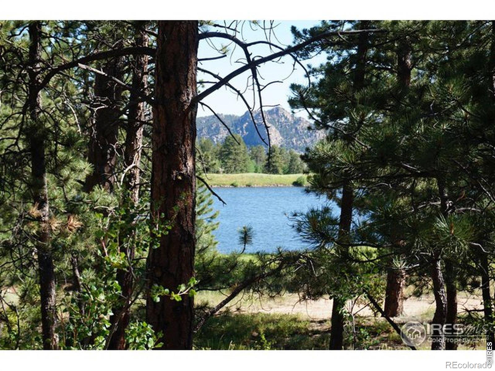 1001 Fox Acres Drive E Red Feather Lakes CO 80545