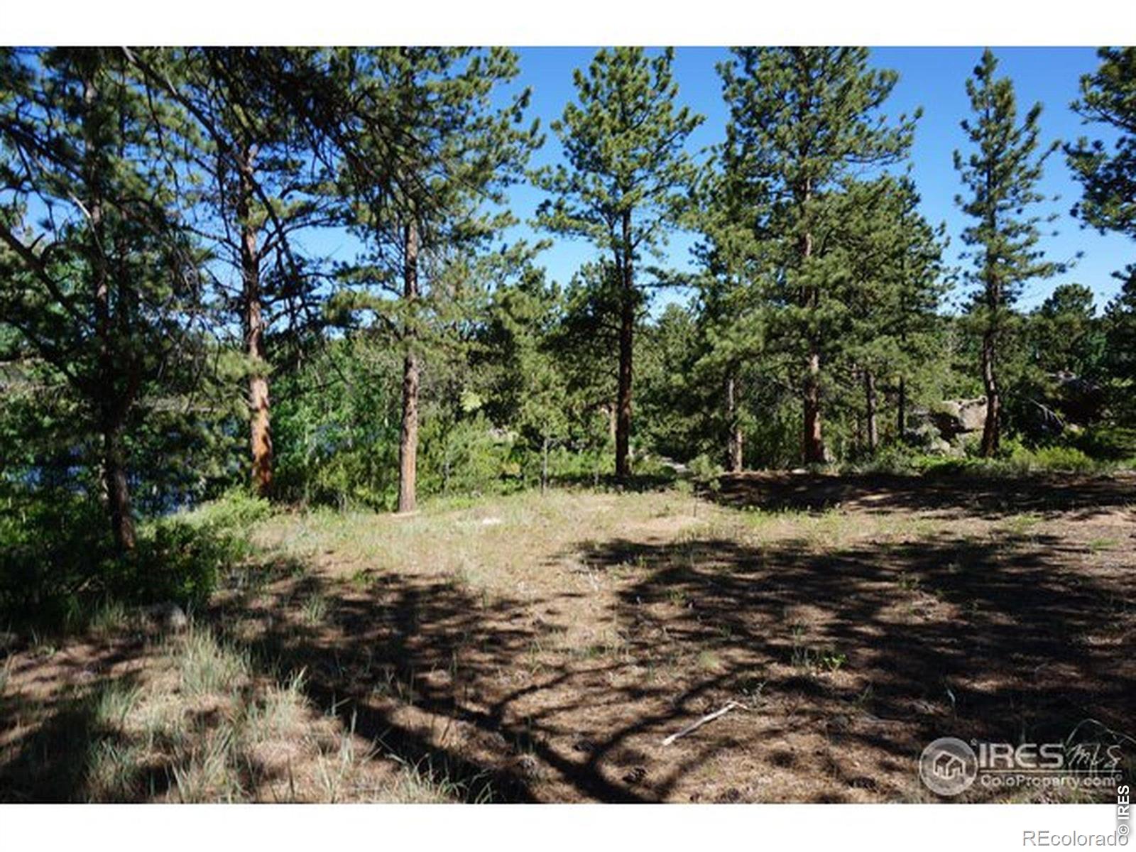 1001 Fox Acres Drive E Red Feather Lakes CO 80545