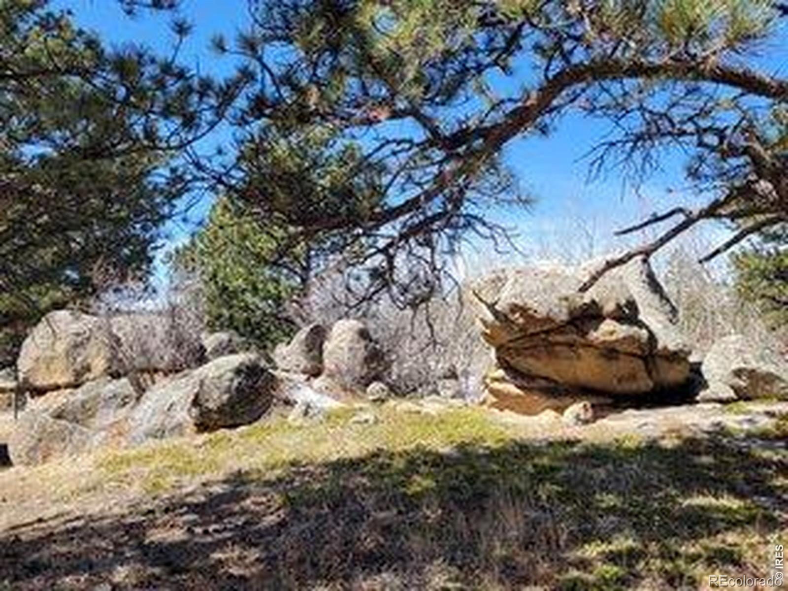 1001 Fox Acres Drive E Red Feather Lakes CO 80545