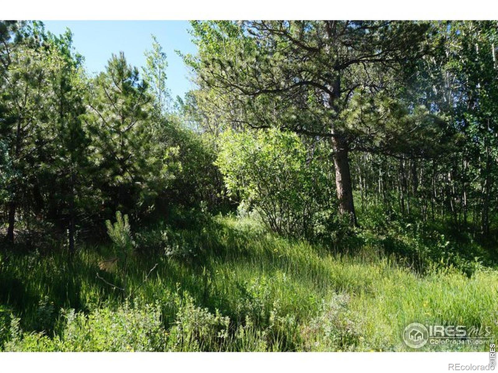 1001 Fox Acres Drive E Red Feather Lakes CO 80545