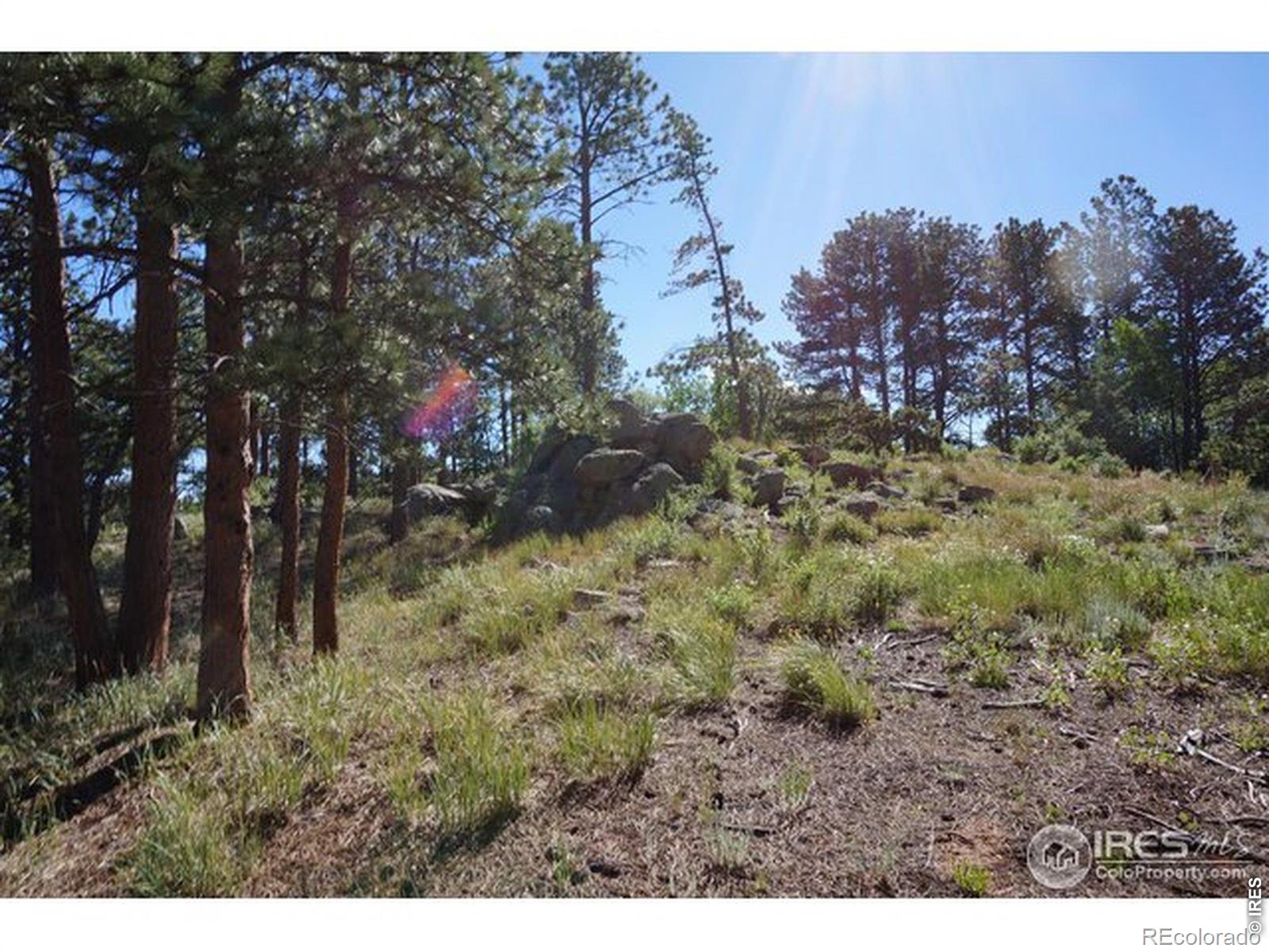 1001 Fox Acres Drive E Red Feather Lakes CO 80545