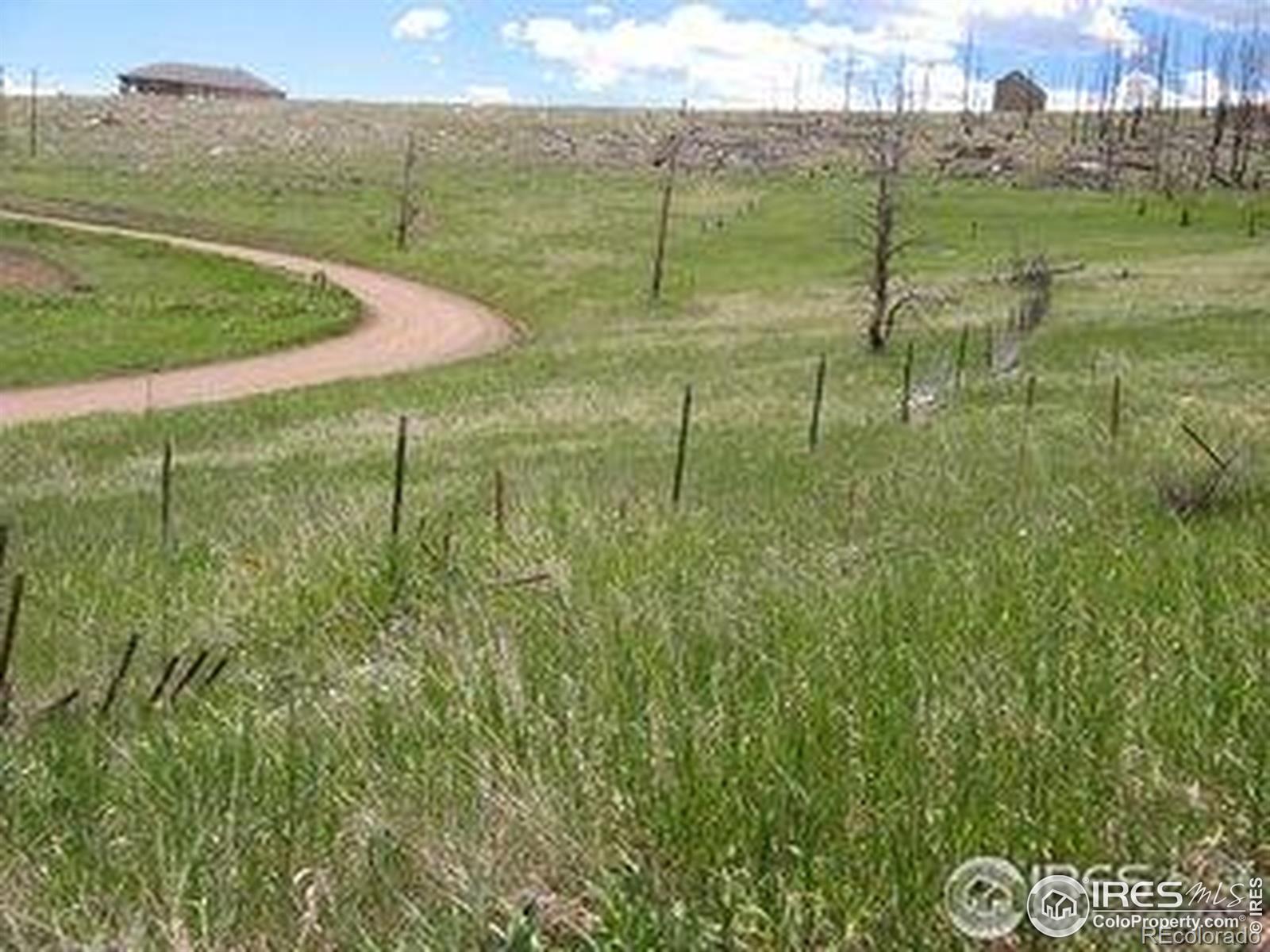 64 Bobcat Mountain Court Livermore CO 80536