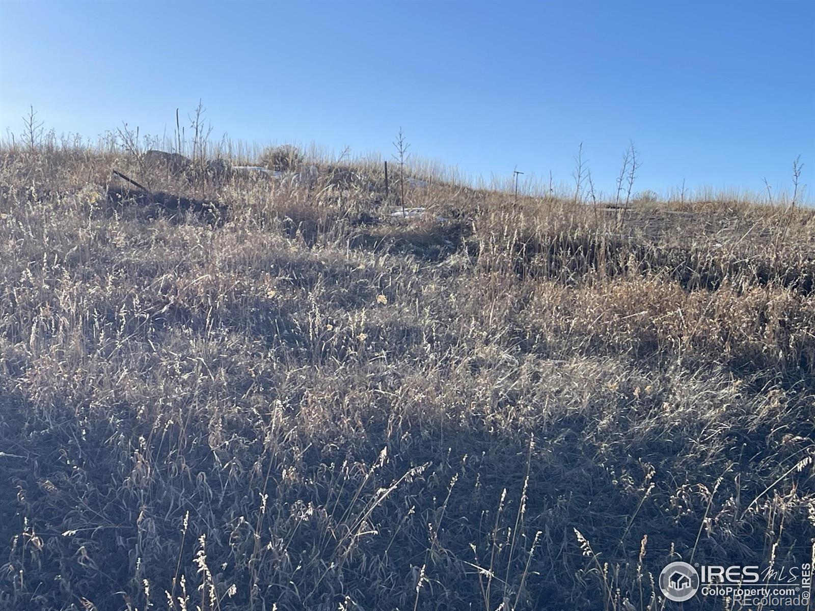 64 Bobcat Mountain Court Livermore CO 80536