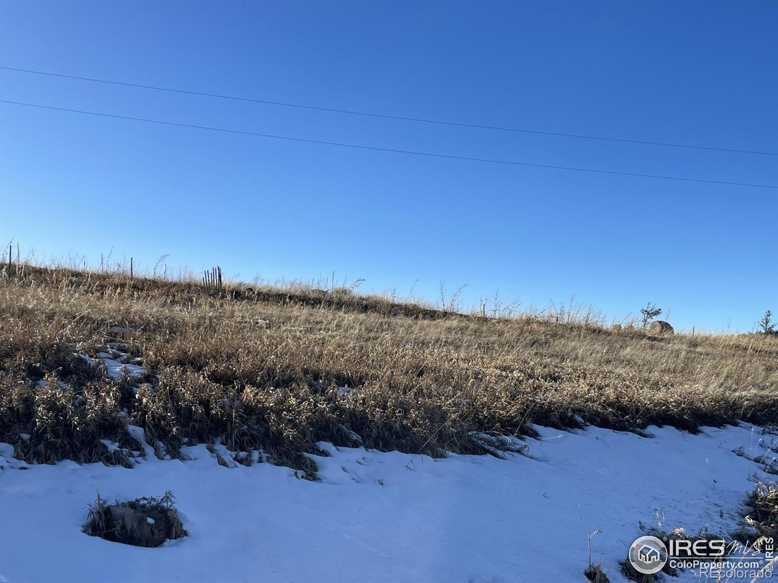 64 Bobcat Mountain Court Livermore CO 80536
