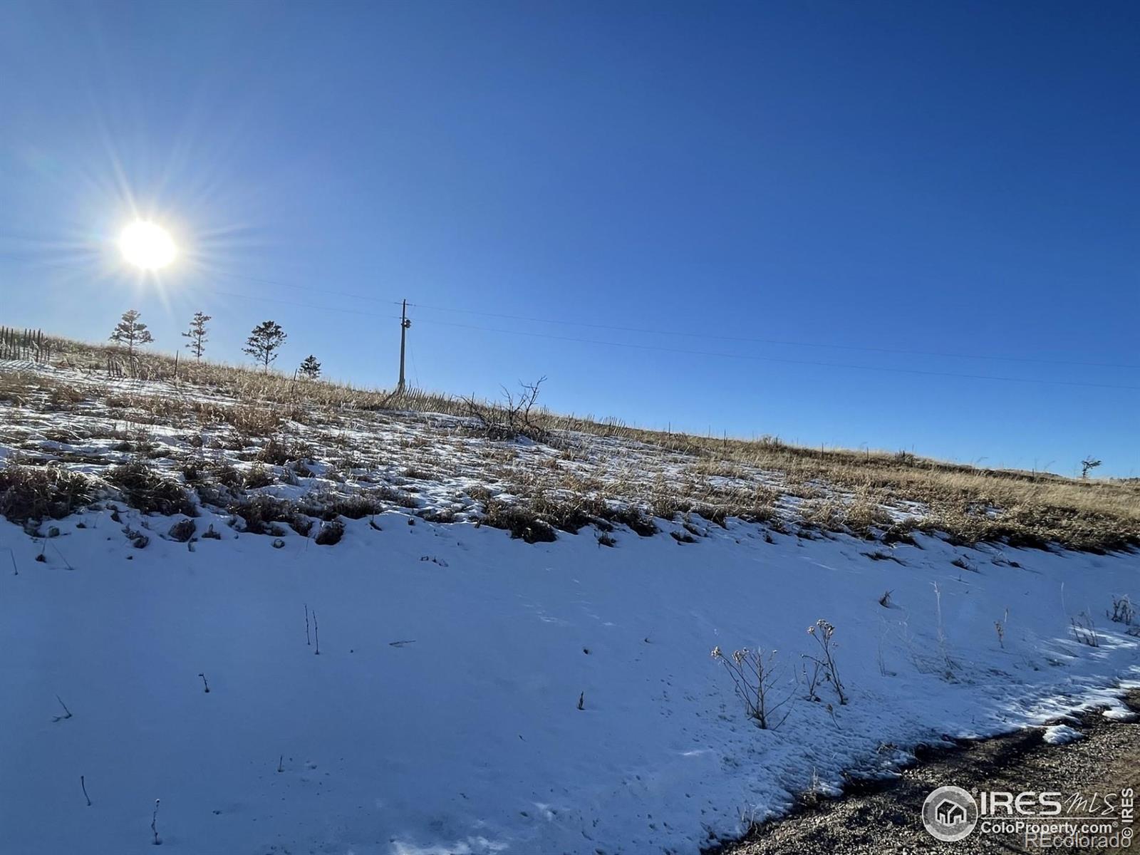 64 Bobcat Mountain Court Livermore CO 80536