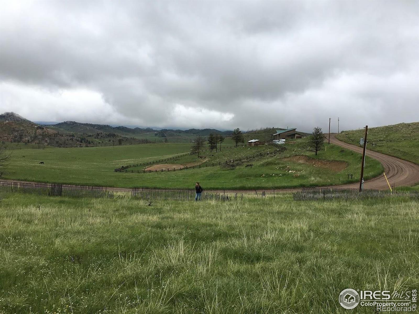 64 Bobcat Mountain Court Livermore CO 80536